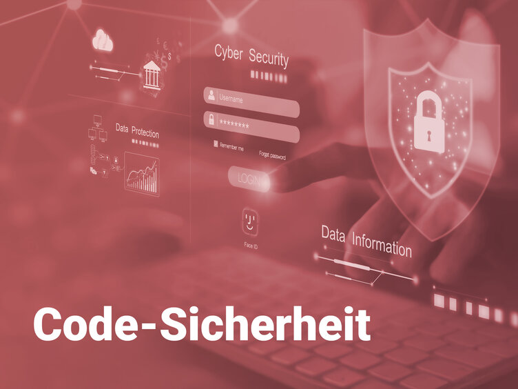 Code-Sicherheit im Kontext von Softwareschutz- und Lizenzmanagement-Systemen