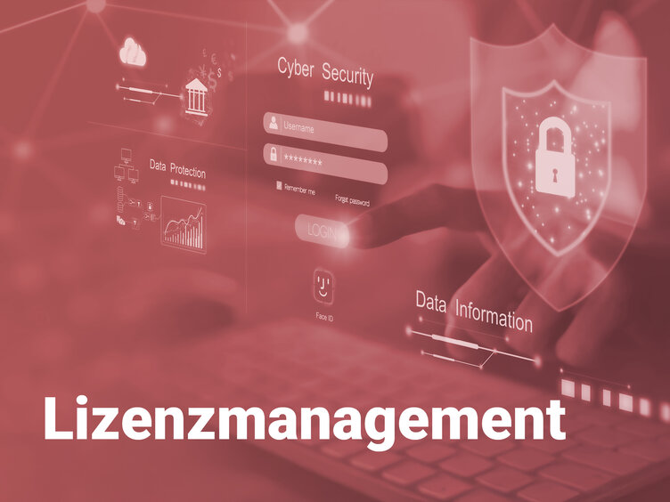License management in the context of software protection and license management systems
