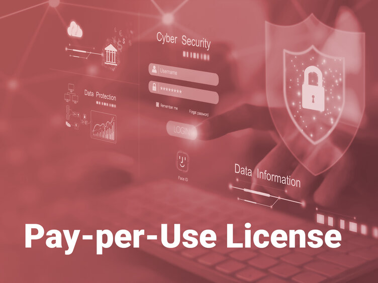 Pay-per-use license (usage-based licensing)  